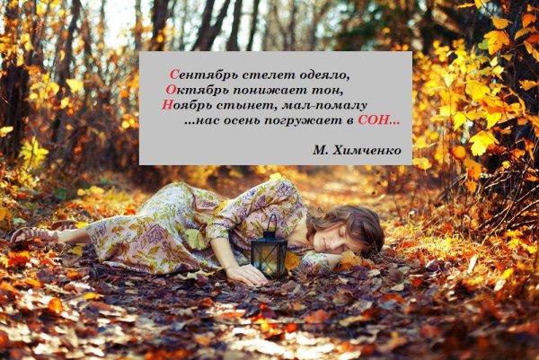 Цитаты про осень