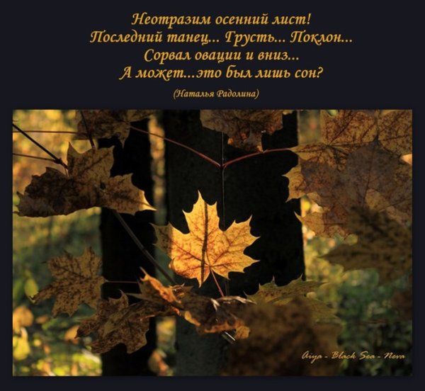 День собирания осенних листьев