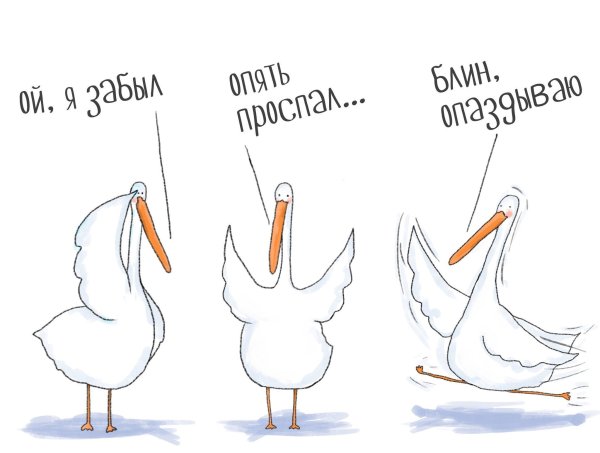 Приколы с гусем