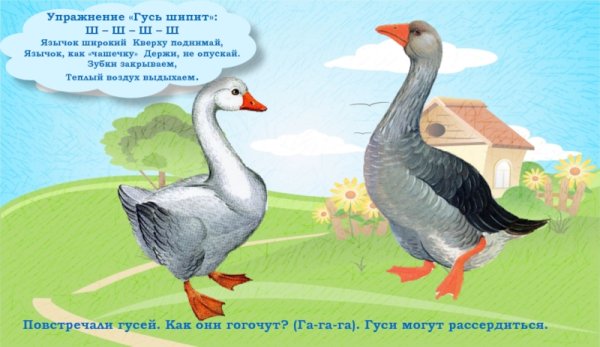 Детские стихи про гусей