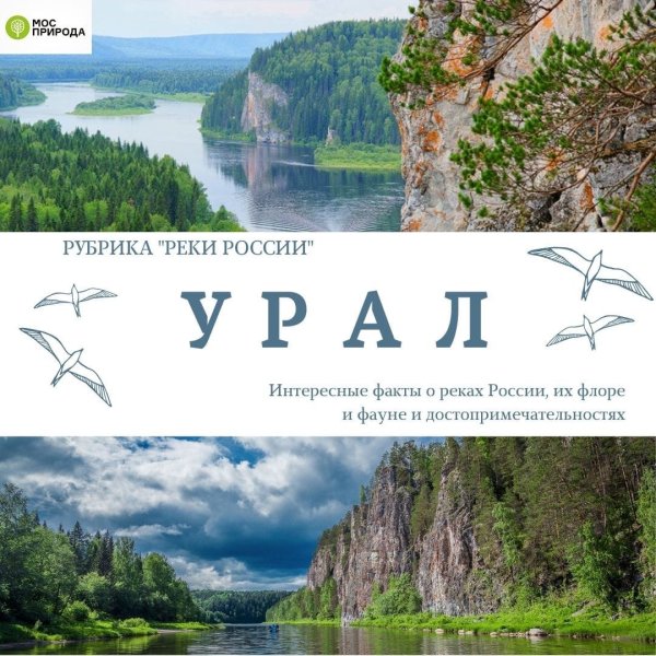 Река Яик была переименована