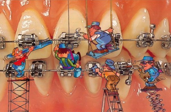 День ортодонта