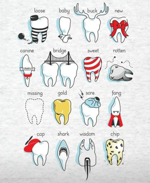 Афоризмы про зубы