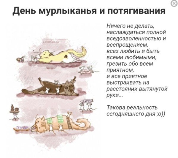День мурлыкивания и подтягивания