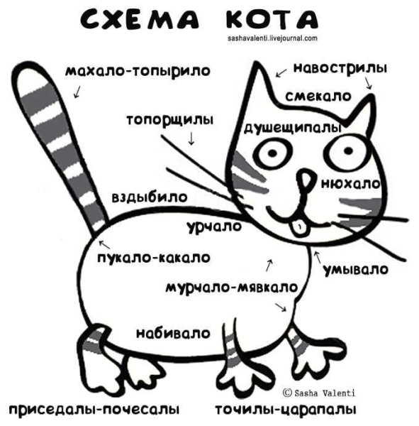 Шуточная схема кота