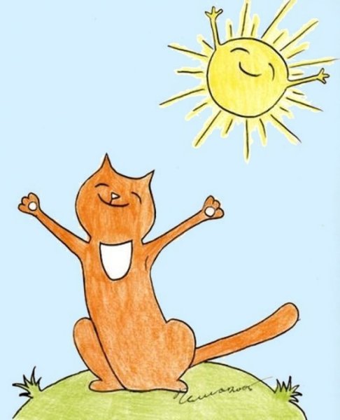 Кот радуется солнцу