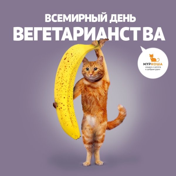 Всемирный день вегетарианства