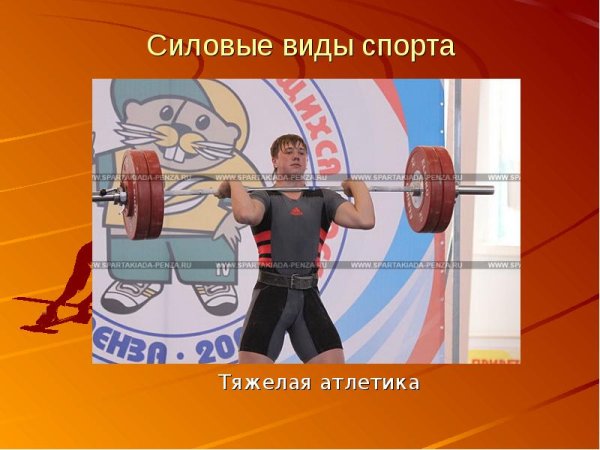 Виды силовых видов спорта