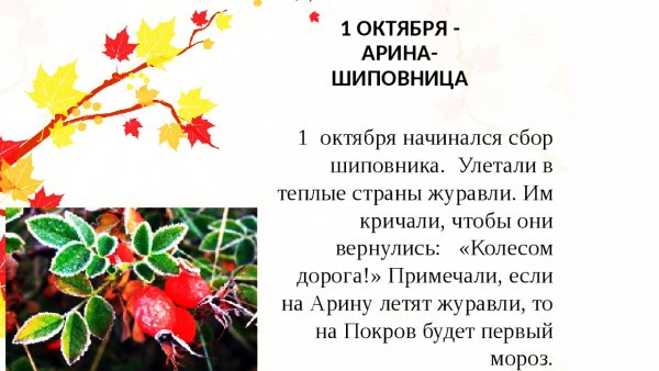 Арина Шиповница 1 октября народный календарь