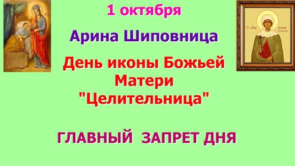 Арина Шиповница 1 октября