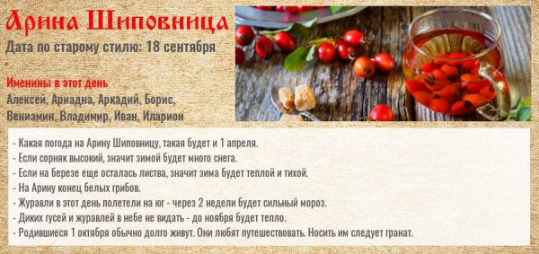 Арина Шиповница народный календарь