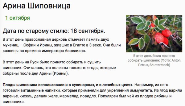 Арина Шиповница праздник