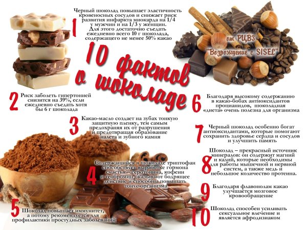 Интересные факты о шоколаде