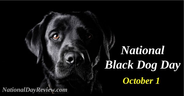 День чёрных собак (National Black Dog Day) - США