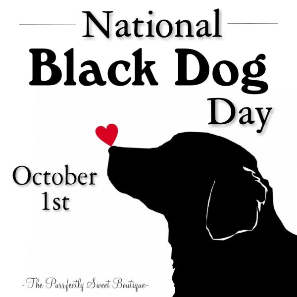 День чёрных собак (National Black Dog Day) - США