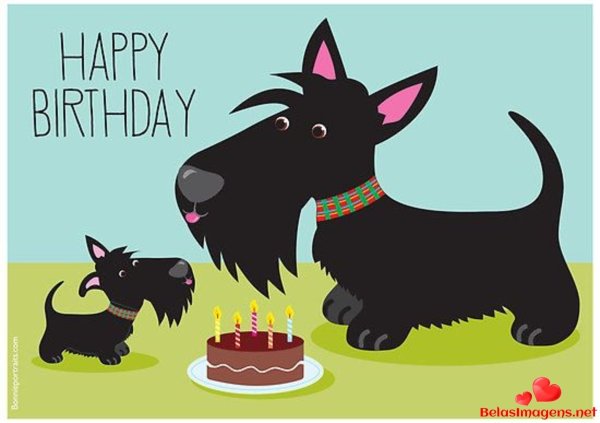 Скотч терьер с днем рождения