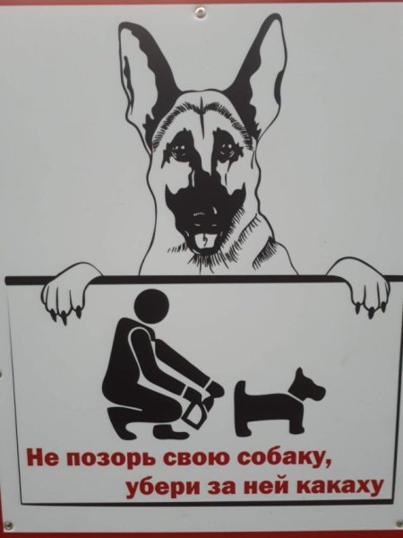 Убирайте за собаками