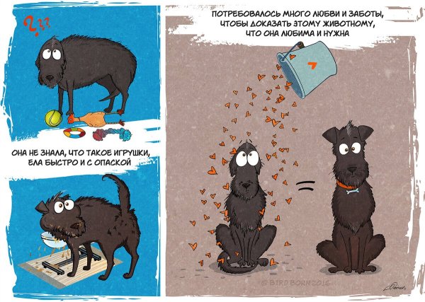 Комикс про собаку из приюта