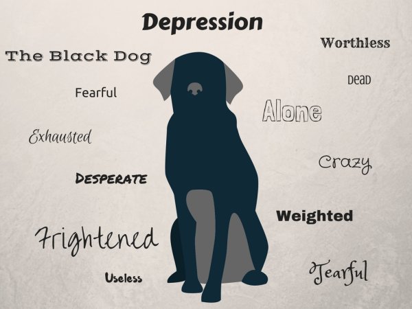 Depression Dog