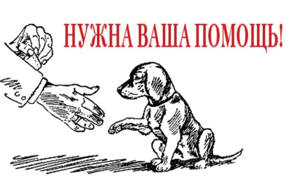 Плакаты в защиту бездомных животных