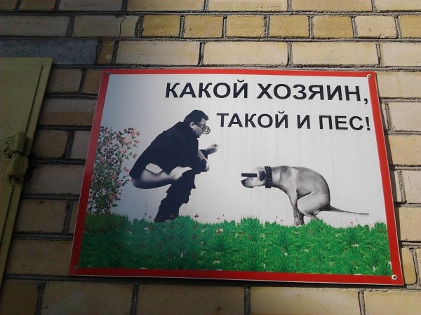 Таблички для собачников