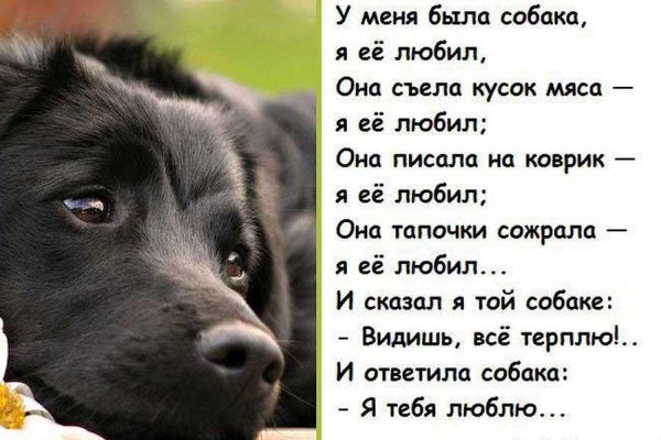 Стих про щенка