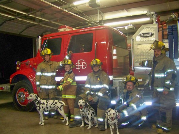 Далматин пожарный