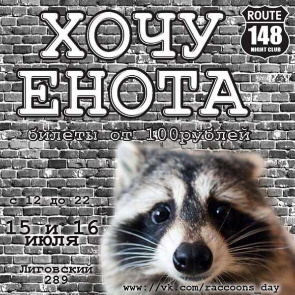 Любимый Енотик