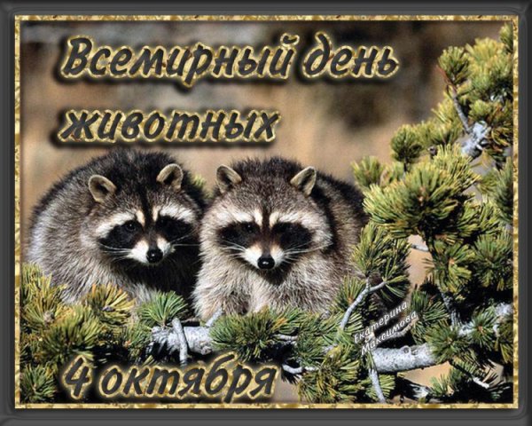 Всемирный день животных поздравления