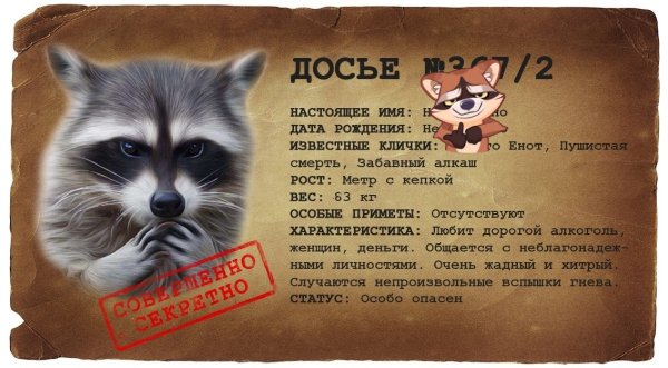 Енот и письмо