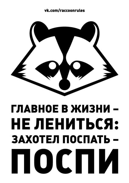 Осторожно еноты