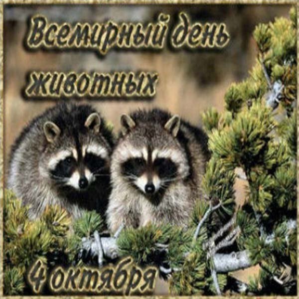 4 Октября день животных картинки