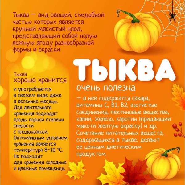 Чем полезна тыква