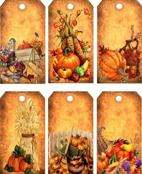 Бирки осень