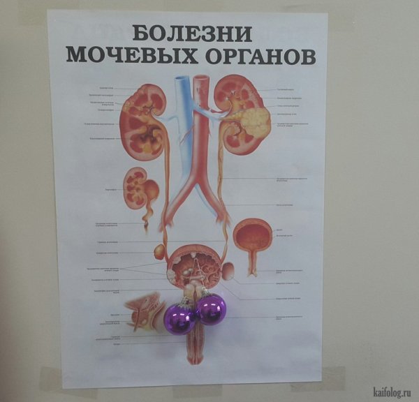 Урология прикол