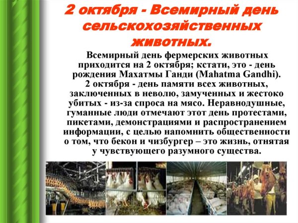 2 Октября день сельскохозяйственных животных