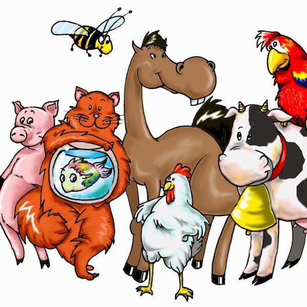 С днем ветеринара смешные