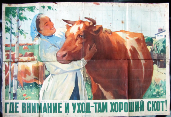 Животноводы колхоз СССР