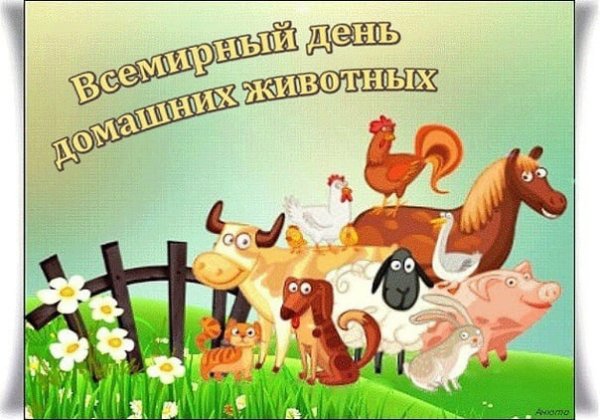 Всемирный день домашних животных