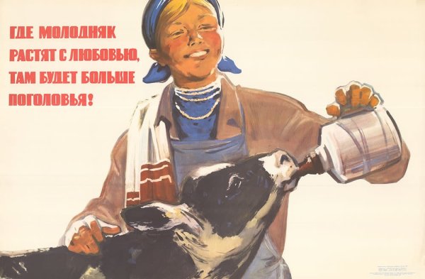 Советские плакаты о животноводстве
