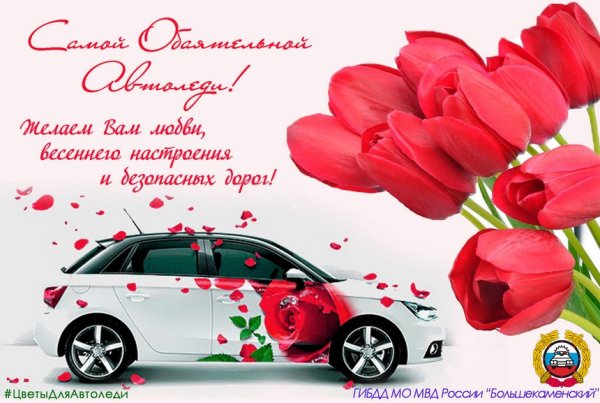 С днем автомобилиста автоледи