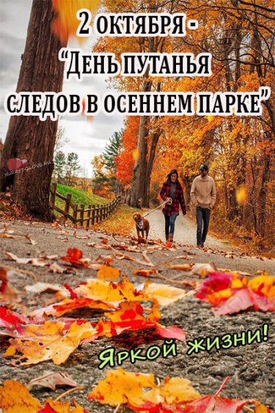 День путания следов в осеннем парке 2 октября