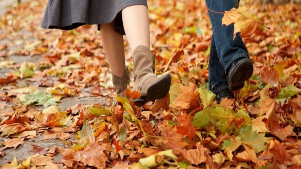 Топ 20 советов осенью