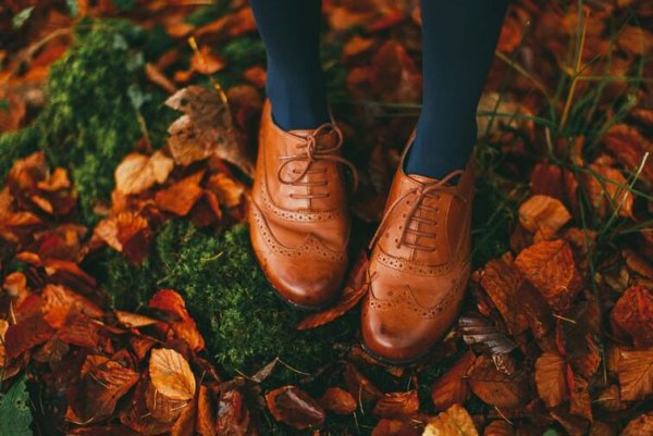 День путания следов в осеннем парке