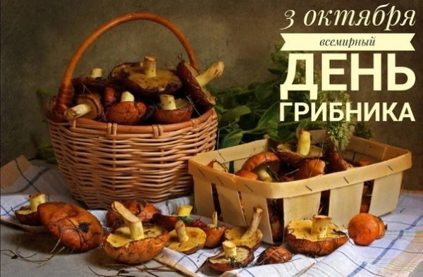 Всемирный день грибника 3 октября