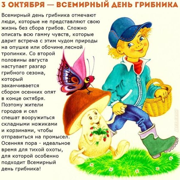 День грибника для дошкольников