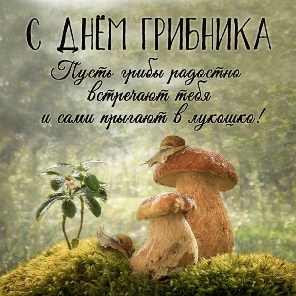 Всемирный день грибника