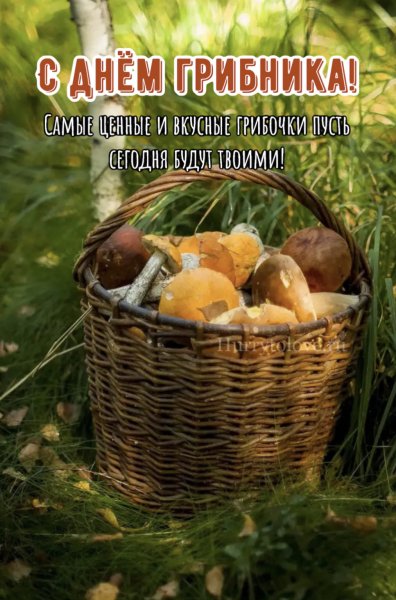 День грибника 3 октября