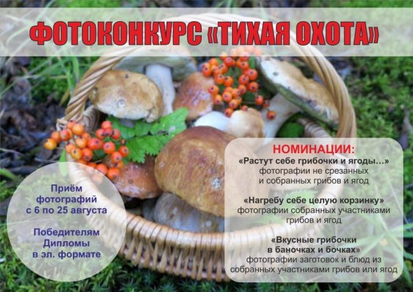 День грибов 26 сентября картинки Европейский с текстом