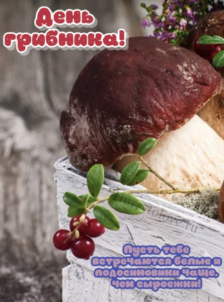 День грибника поздравления